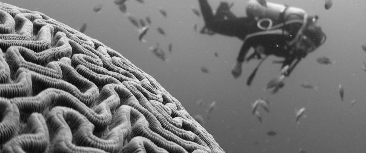 更準(zhǔn)確的通過(guò)用戶(hù)心理模型建設(shè)滿(mǎn)意的網(wǎng)站